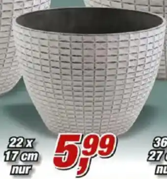 Posten Börse Pflanztopf ,,Nanda" Angebot