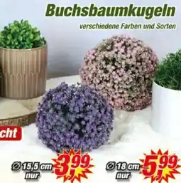 Posten Börse Buchsbaumkugeln Angebot