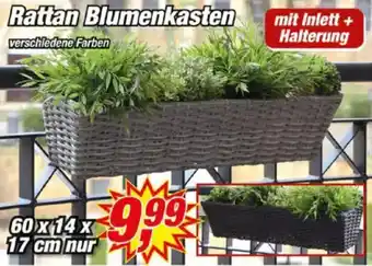 Posten Börse Rattan Blumenkasten Angebot
