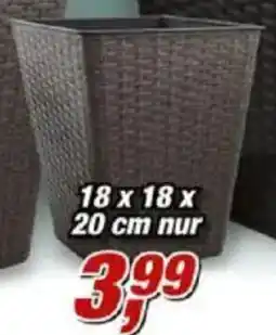 Posten Börse Pflanztopf Angebot