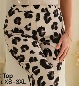 Woolworth Damen-Sommerhose Angebot