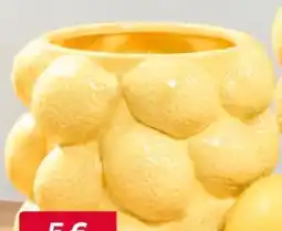 Woolworth Deko-Vase Angebot