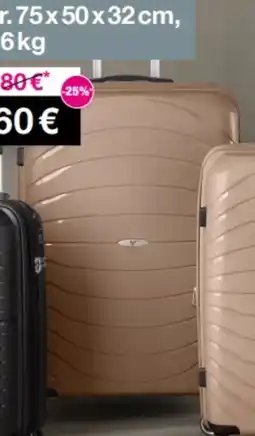 Woolworth Verage Hartschalenkoffer Angebot