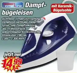 Posten Börse Homeline Dampfbügeleisen Angebot
