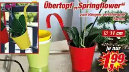 Posten Börse Übertopf ,,Springflower" Angebot