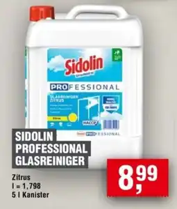 Handelshof SIDOLIN PROFESSIONAL GLASREINIGER Angebot