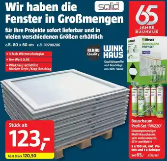 Bauhaus Fenster in Großmengen Angebot