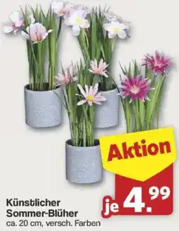 Famila Nord West Künstlicher Sommer-Blüher Angebot