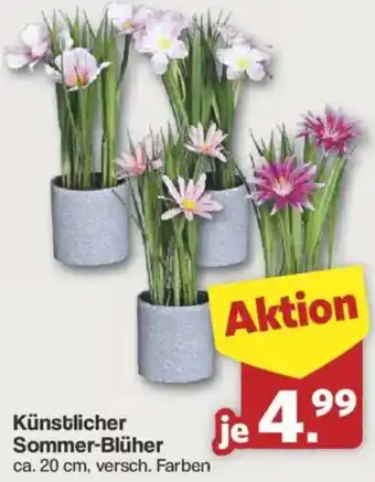 Famila Nord West Künstlicher Sommer-Blüher Angebot