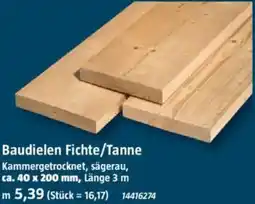 Bauhaus Baudielen Fichte/Tanne Angebot