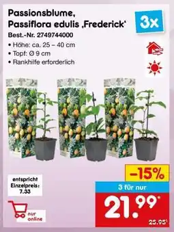 Netto Marken-Discount Passionsblume, Passiflora edulis 'Frederick' Angebot