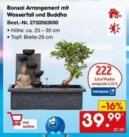 Netto Marken-Discount Bonsai Arrangement mit Wasserfall und Buddha Angebot