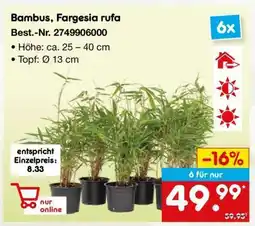 Netto Marken-Discount Bambus, Fargesia rufa Angebot