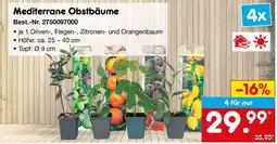 Netto Marken-Discount Mediterrane Obstbäume Angebot