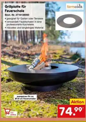 Netto Marken-Discount Grillplatte für Feuerschale Angebot