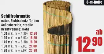 B1 Discount Baumarkt Schilfrohrmatte Angebot