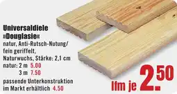 B1 Discount Baumarkt Universaldiele Douglasie Angebot