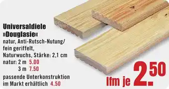 B1 Discount Baumarkt Universaldiele Douglasie Angebot