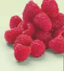 Netto Marken-Discount Himbeeren Angebot
