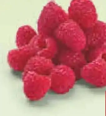Netto Marken-Discount Himbeeren Angebot