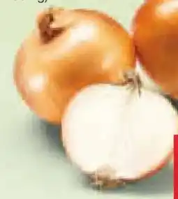 Netto Marken-Discount Zwiebeln Angebot