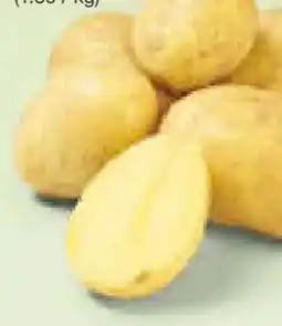 Netto Marken-Discount Speisefrühkartoffeln Angebot