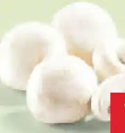 Netto Marken-Discount MarktTag Champignons Angebot