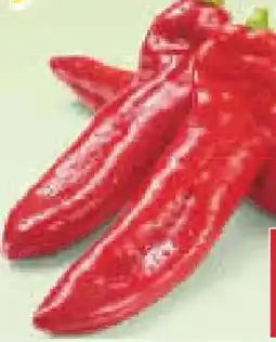 Netto Marken-Discount MarktTag Rote Spitzpaprika Angebot