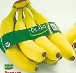 Netto Marken-Discount BioBio Bio-Bananen Angebot