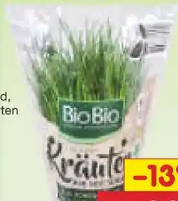 Netto Marken-Discount BioBio Bio-Kräutertopf Angebot