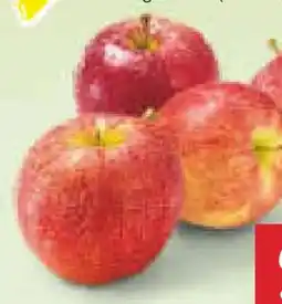 Netto Marken-Discount MarktTag Äpfel Angebot