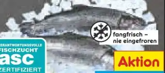 Netto Marken-Discount Regenbogen-Forelle Angebot