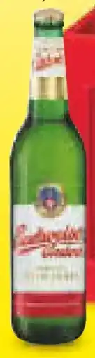 Netto Marken-Discount Budweiser Budvar (CZ) Original Czech Imported Lager Angebot