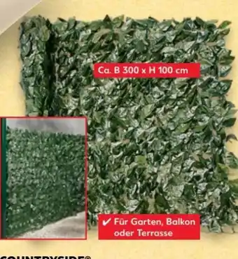 Kaufland Countryside Sichtschutz Hecke Angebot