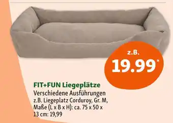 Fressnapf Fit+fun liegeplätze Angebot
