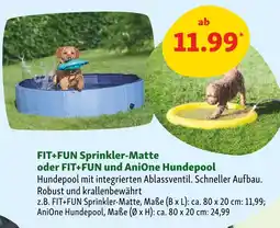 Fressnapf Fit+fun sprinkler-matte Angebot