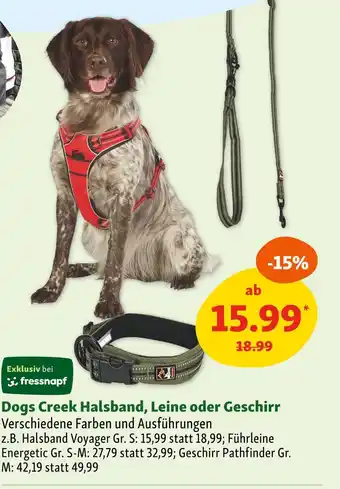 Fressnapf Dogs creek halsband voyager gr. s Angebot
