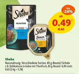 Fressnapf Sheba delikatesse in gelee mit thunfisch Angebot