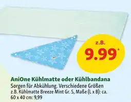 Fressnapf Anione kühlmatte Angebot