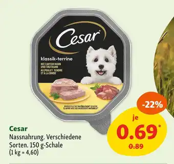 Fressnapf Cesar klassik-terrine Angebot