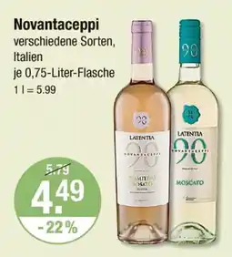 V Markt Novantaceppi primitivo rosato Angebot