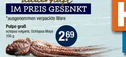 V Markt Pulpo groß Angebot