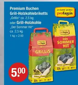 V Markt Profagus grillis oder grill-holzkohle Angebot