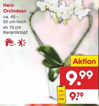 Netto Marken-Discount Herz Orchideen Angebot