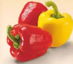 Netto Marken-Discount BioBio Bio-Paprika-Mix Angebot