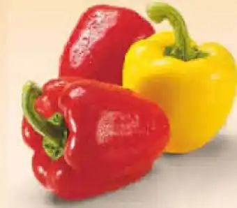 Netto Marken-Discount BioBio Bio-Paprika-Mix Angebot
