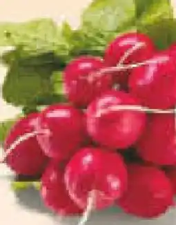 Netto Marken-Discount Heimat Radieschen Angebot