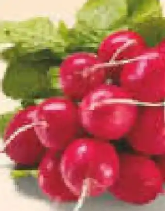 Netto Marken-Discount Heimat Radieschen Angebot