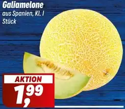 Simmel Galiamelone Angebot