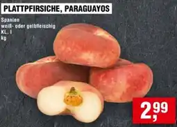 Handelshof Plattpfirsiche, paraguayos Angebot